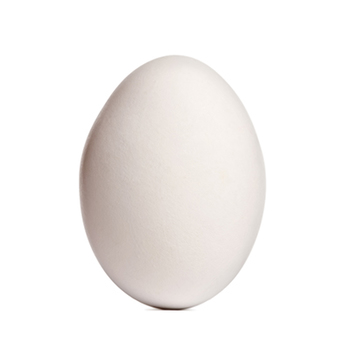 Duck egg