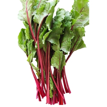  Beet Leaves