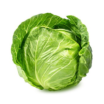 Cabbage (Green)