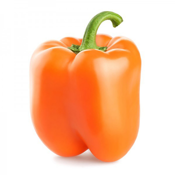 Bell Pepper (Orange)