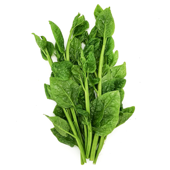  New Zealand spinach