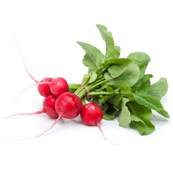  Red Radishes