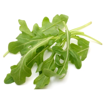 Arugula