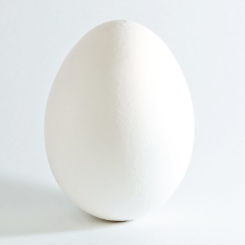 Chicken Egg