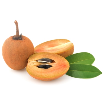  Sapodilla