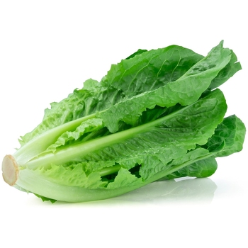  Romaine Lettuce