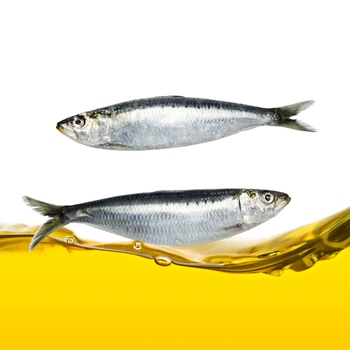  Oil (Sardine)