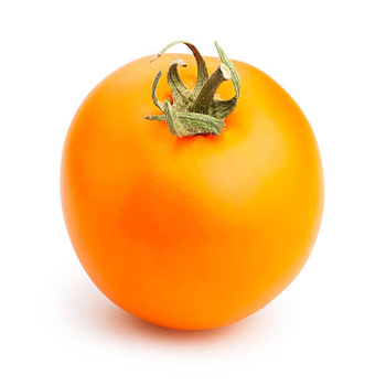 Tomatoes Orange