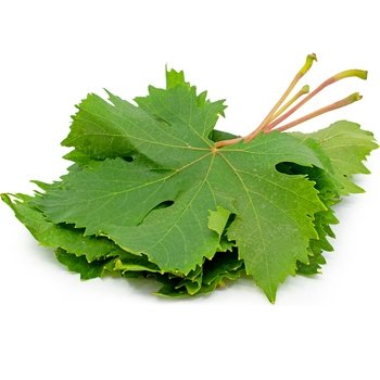  Grape Leaves