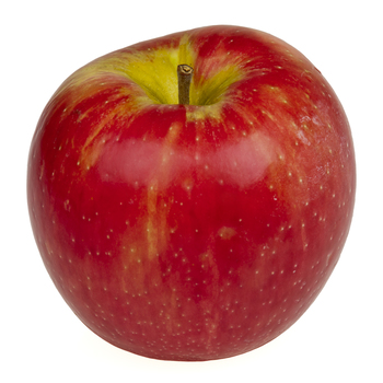  Apple (Honeycrisp)