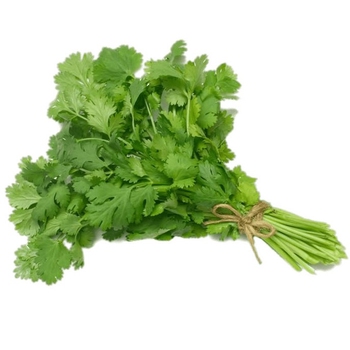  Coriander