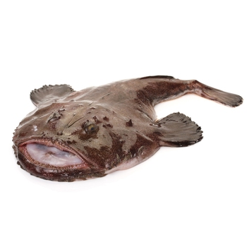 Monkfish