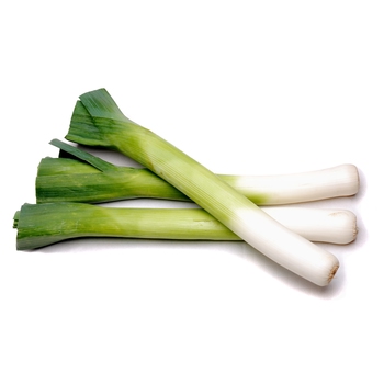 Leek