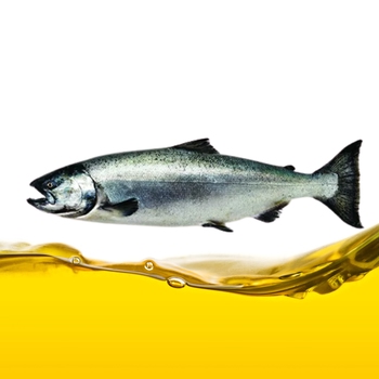  Oil (Salmon)