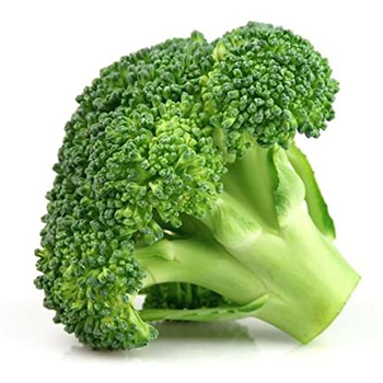  Broccoli