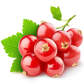 Currant (Red)