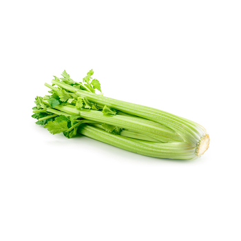 Celery