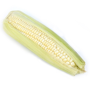 White Corn