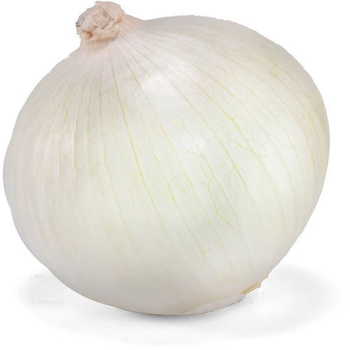 Onion (White)