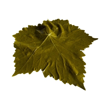 Grape Leaves (Pickled)