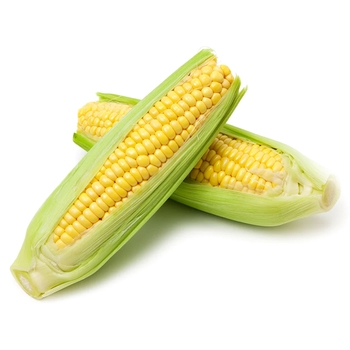 Yellow Corn