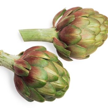 Artichokes