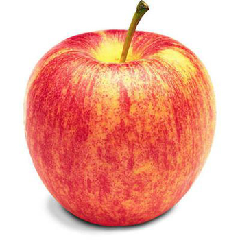 Apple (Gala)