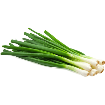 Onion (Green)