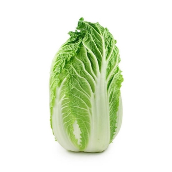 Cabbage (Pe-Tsai)