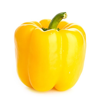 Bell Pepper (Yallow)