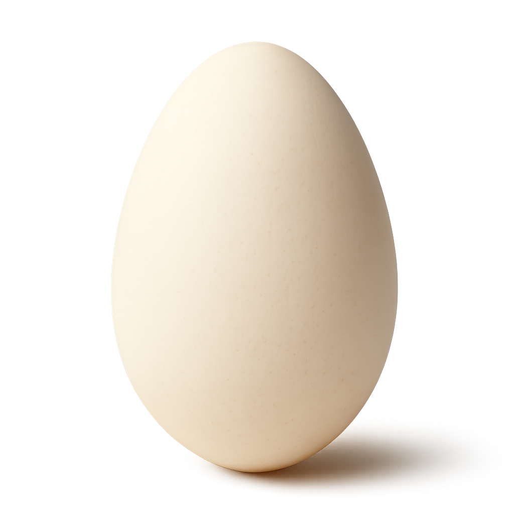  Goose egg