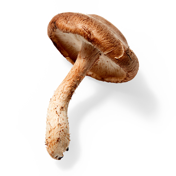 Mushrooms (Shiitake)