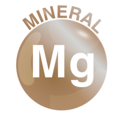 Magnesium